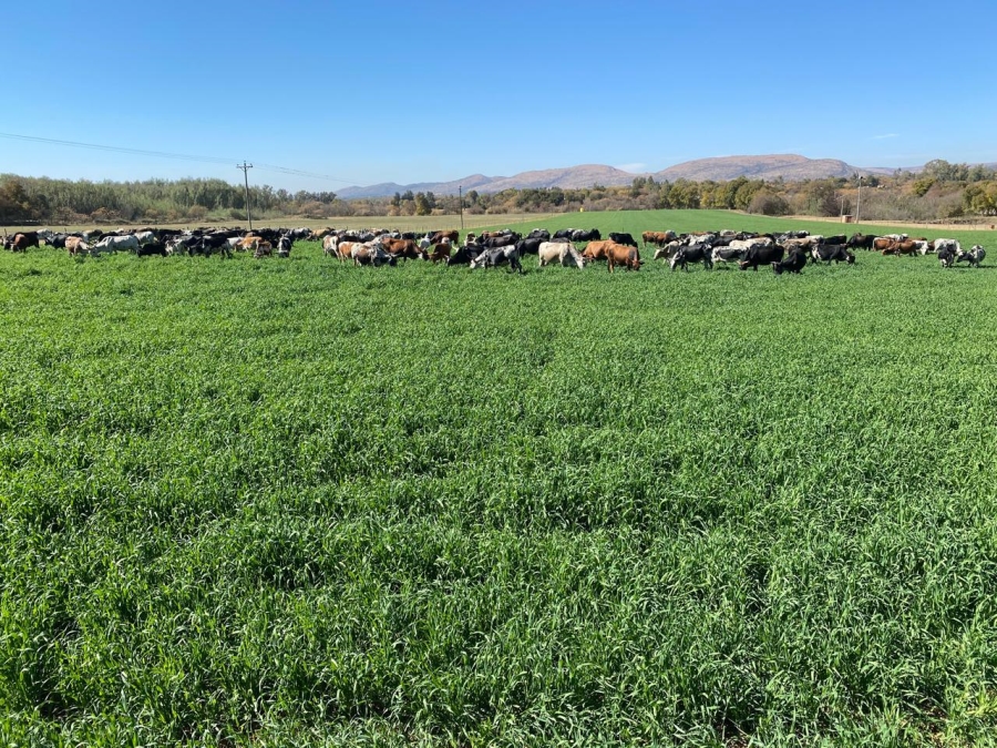 6 Bedroom Property for Sale in Remhoogte AH North West